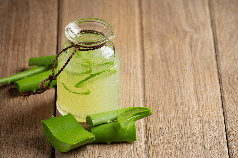Cara Menyimpan Lidah Buaya