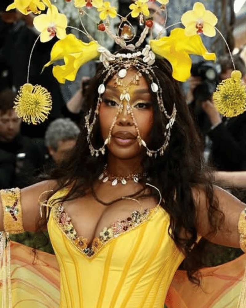 met gala makeup (12).png