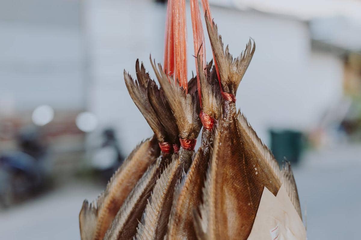 Cara Menyimpan Ikan Asin agar Tahan Lama