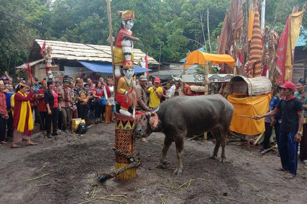 Tiwah dari Kalimantan Tengah.jpg