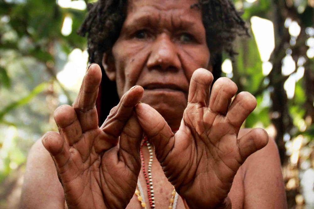 Ikipalin dari Papua.jpg