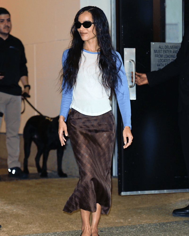 celeb outfits summer (3).png