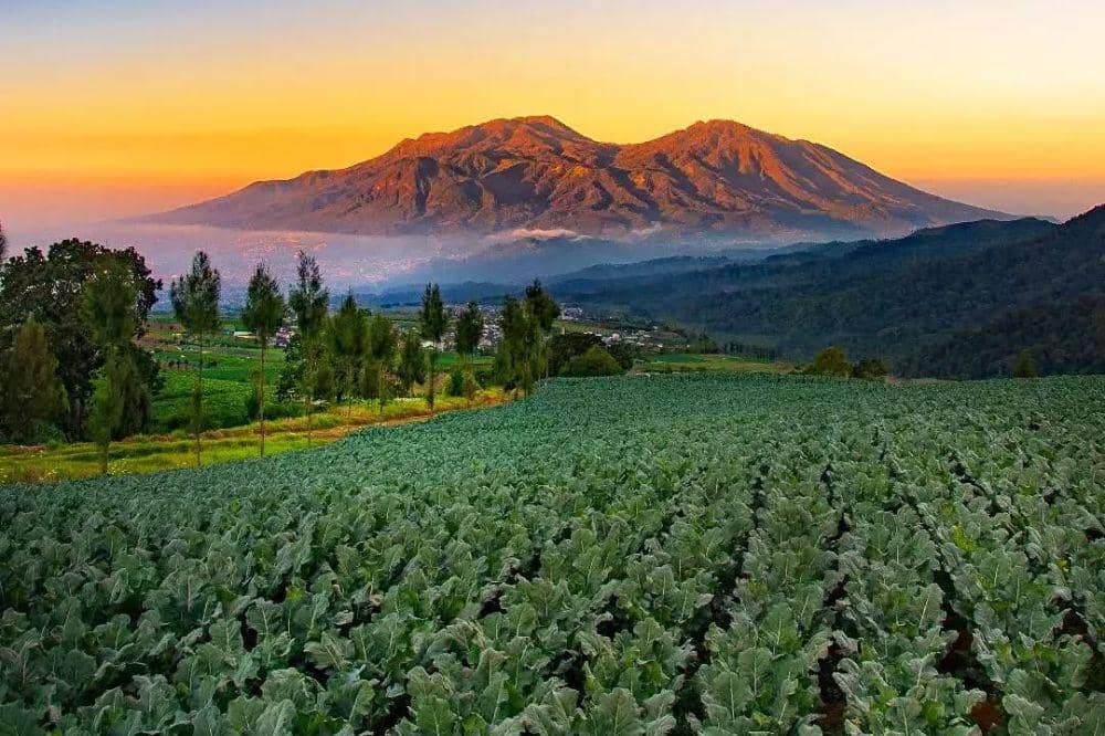 Wisata Alam Brakseng Batu: Lokasi, Harga Tiket, dan Fasilitas