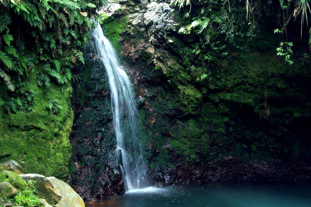 Wisata Alam Bogor 7.jpg