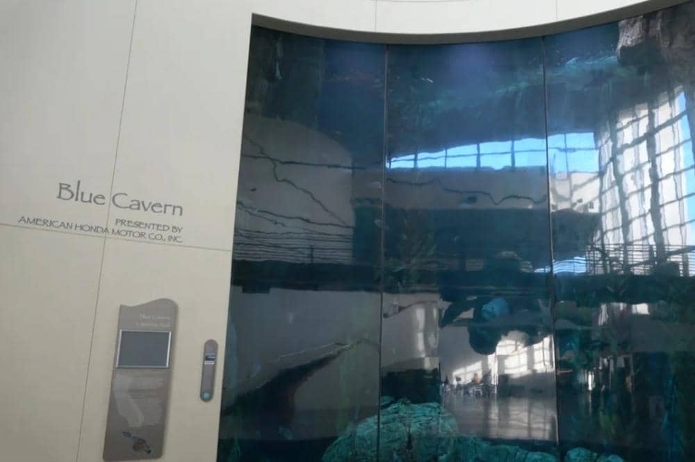 Aquarium of The Pacific