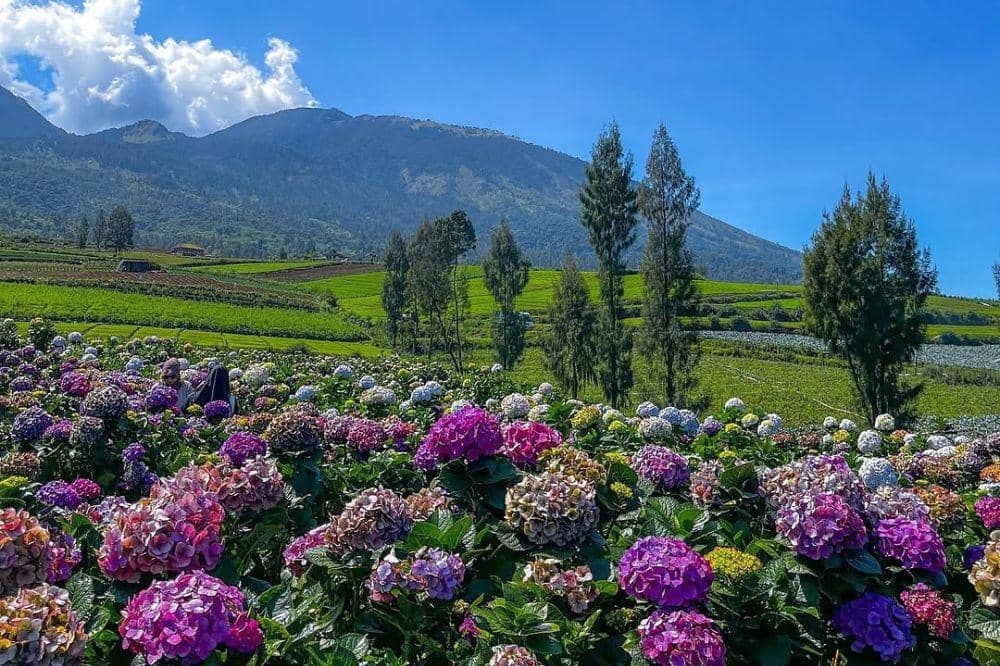 Wisata Alam Brakseng 2.jpg