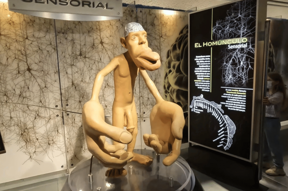 Universum museum