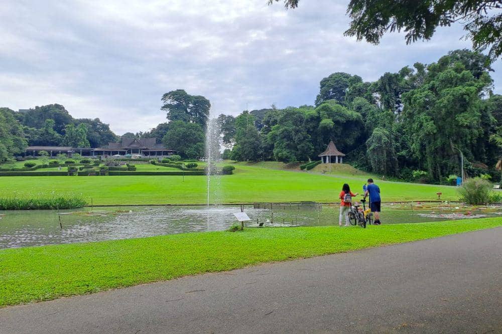 7 Wisata Alam Bogor untuk Liburan Keluarga, Ada yang 24 Jam