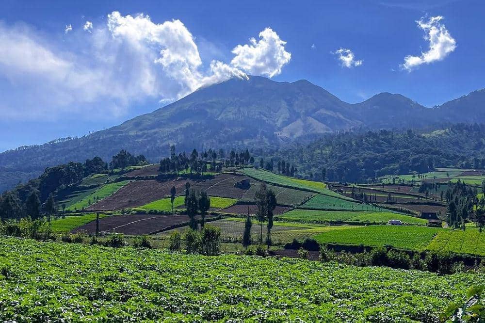 Wisata Alam Brakseng 3.jpg
