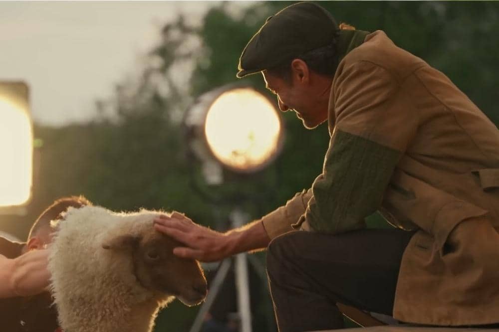 George Hardy The Sheep Detectives