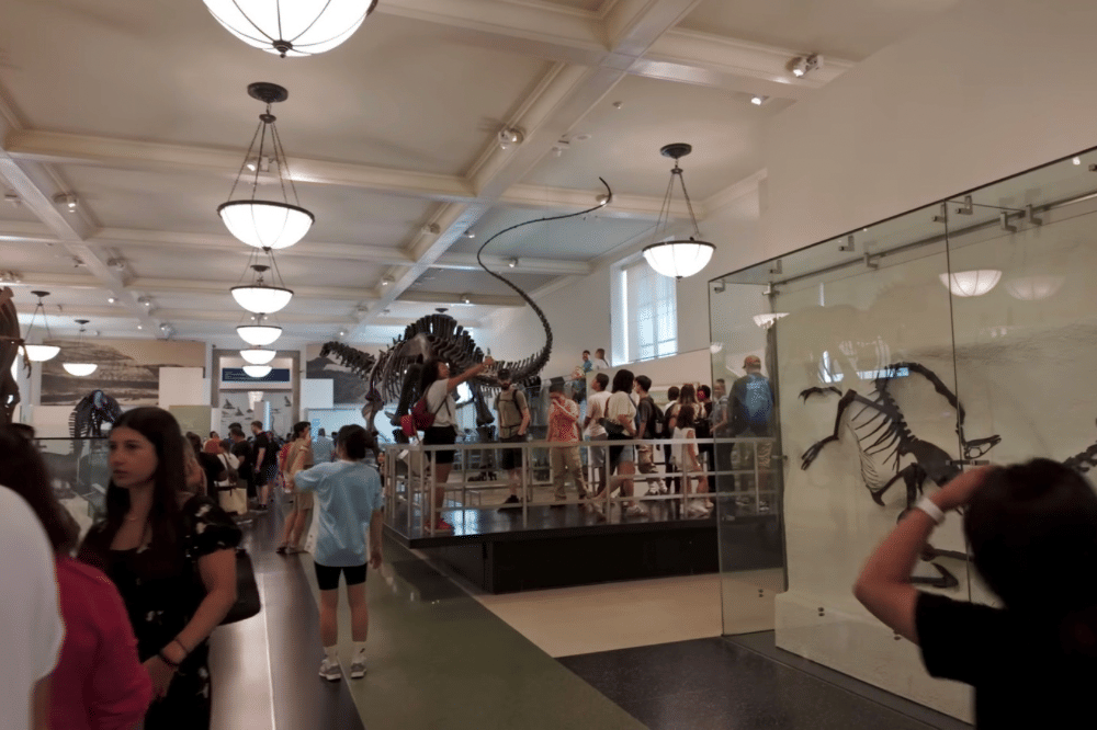 Koleksi museum di New York 