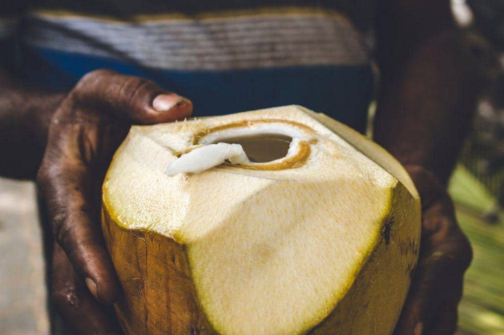 Minuman Alami Cegah Mabuk Perjalanan 8.jpg