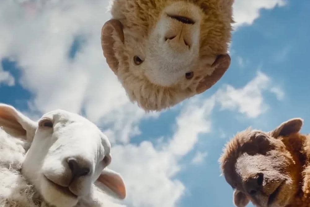 The Sheep Detectives