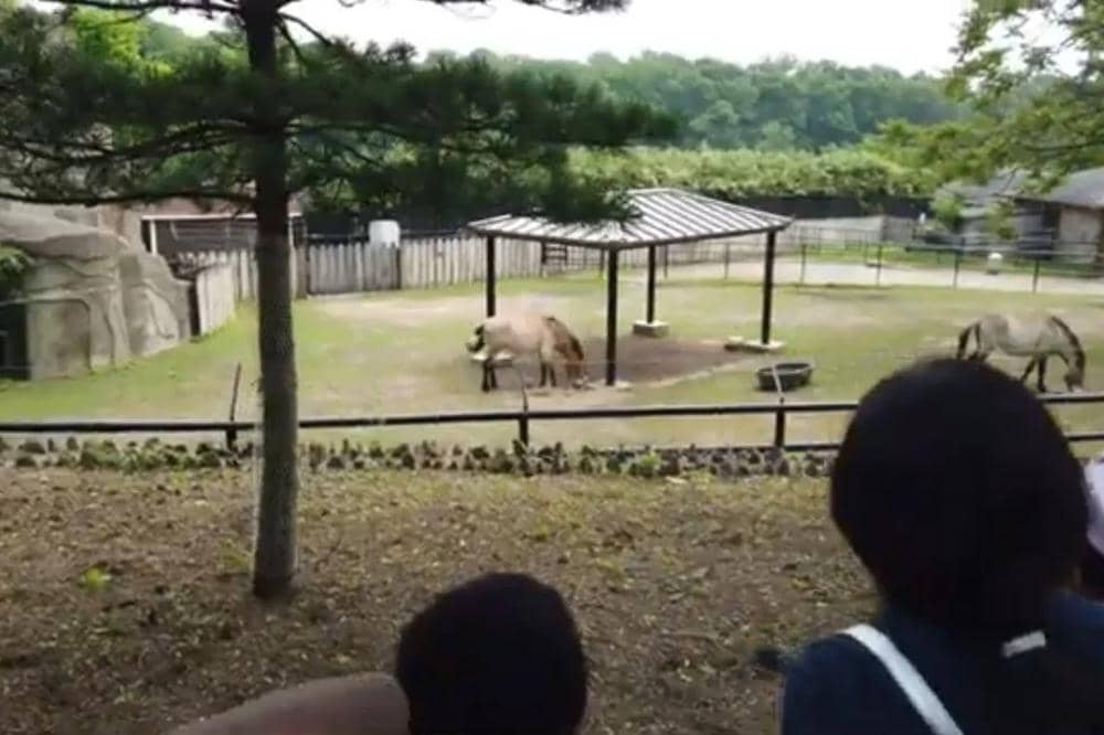 National Zoo