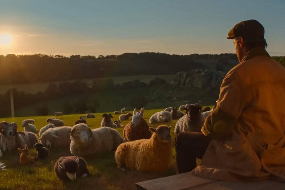 George Hardy The Sheep Detectives