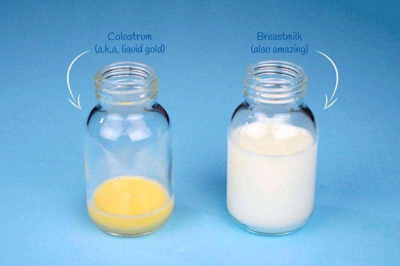 liquid gold.jpg
