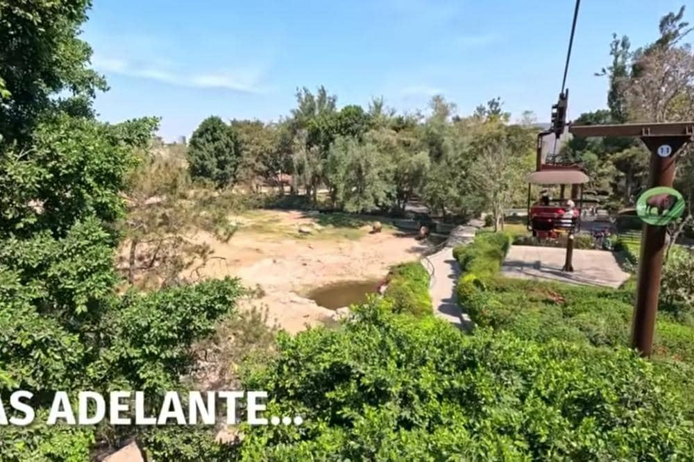 Zoologico Guadalajara