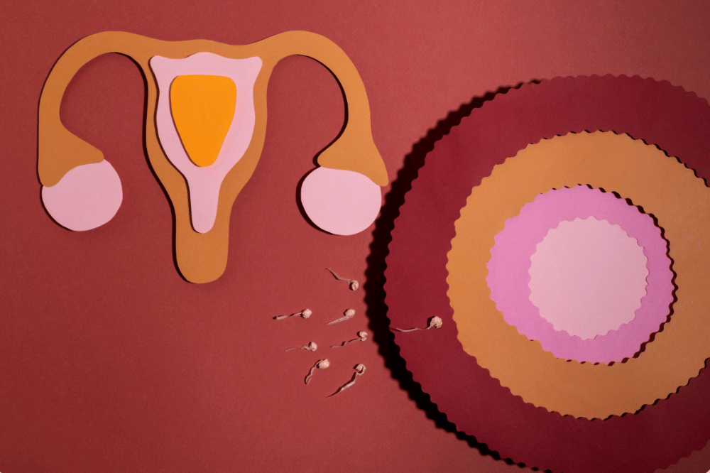 PCOS PMOS (4).png