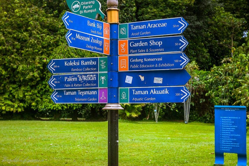 Wisata Bogor Murah untuk Keluarga 2.jpg