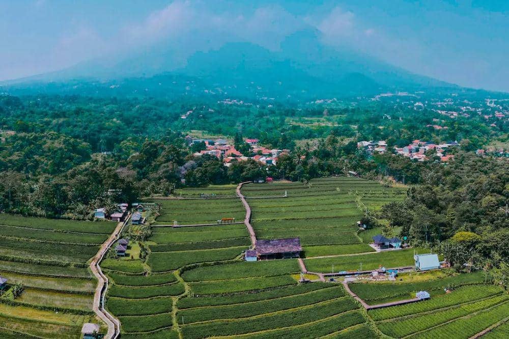 Wisata Bogor Murah untuk Keluarga 3.jpg
