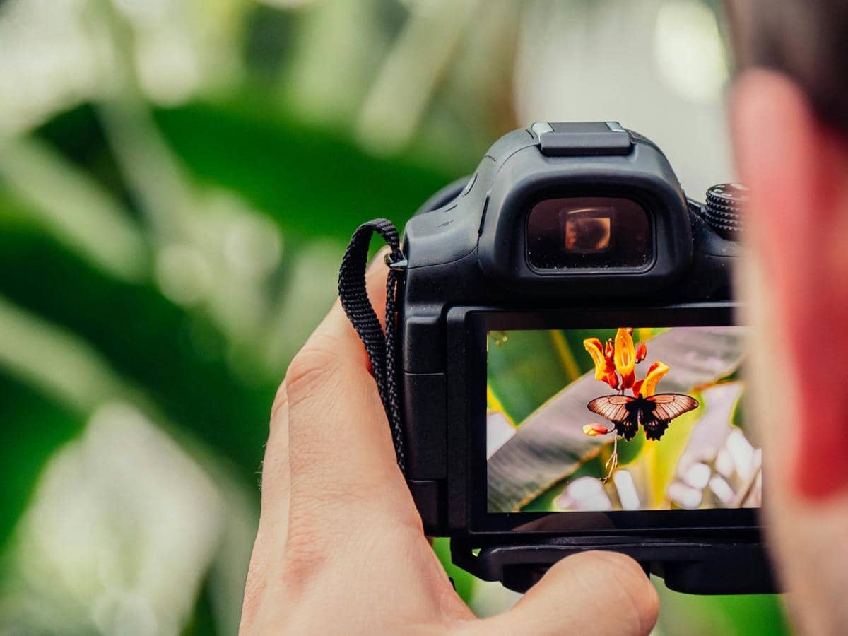 ilustrasi belajar fotografi