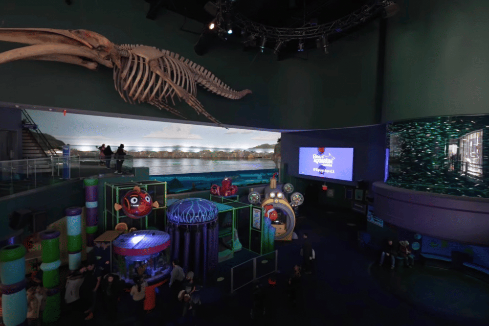 Aquarium di Toronto 