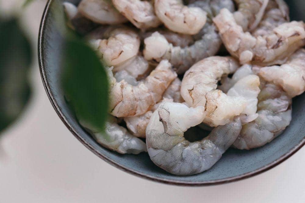 Udang