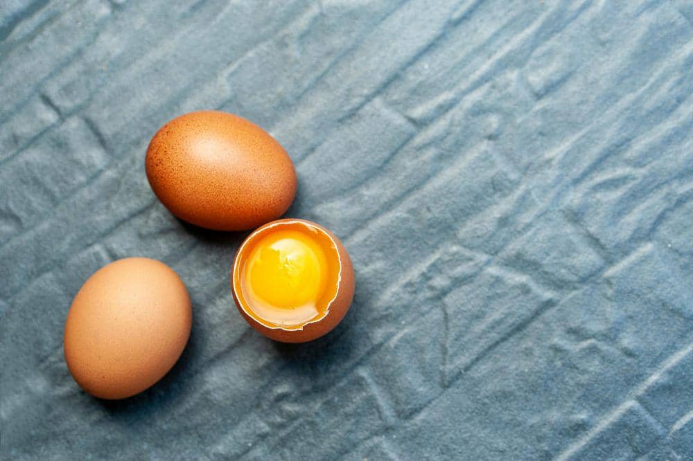 Telur