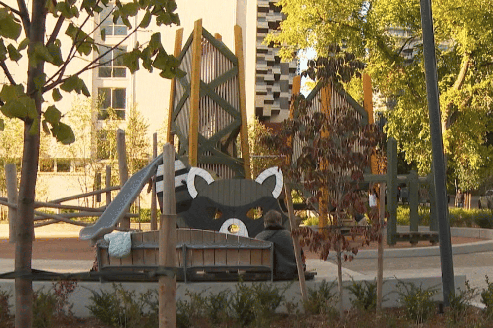 Raccoon Park Canada 