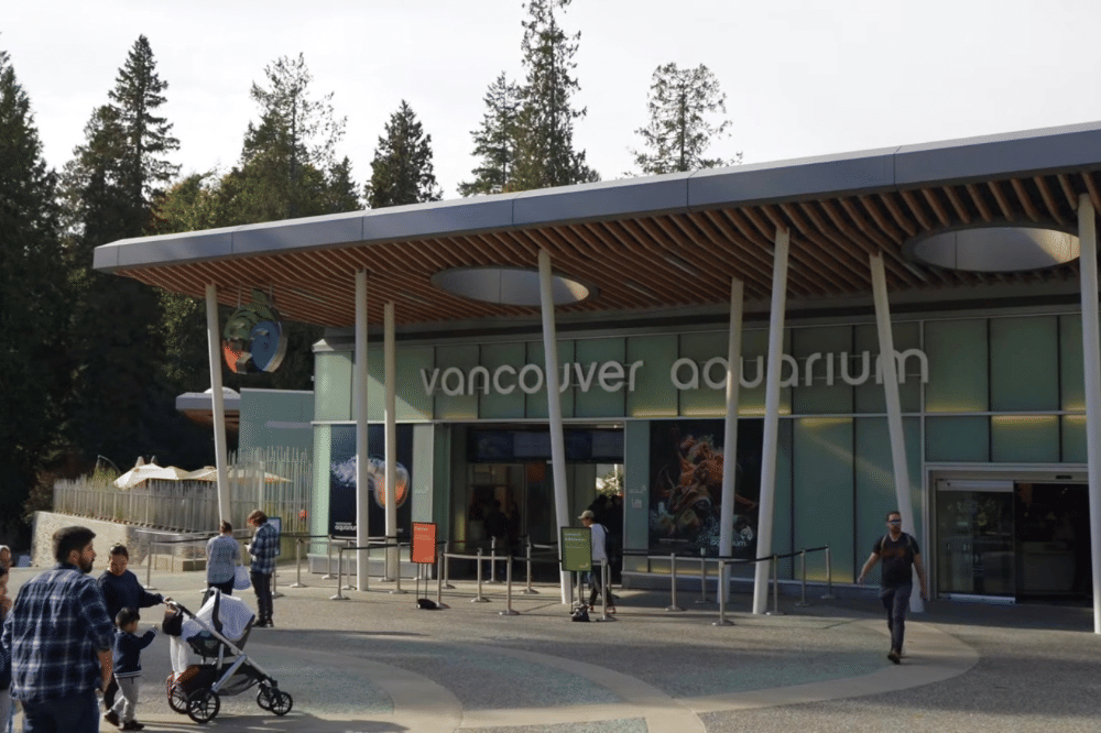Vancouver aquarium 