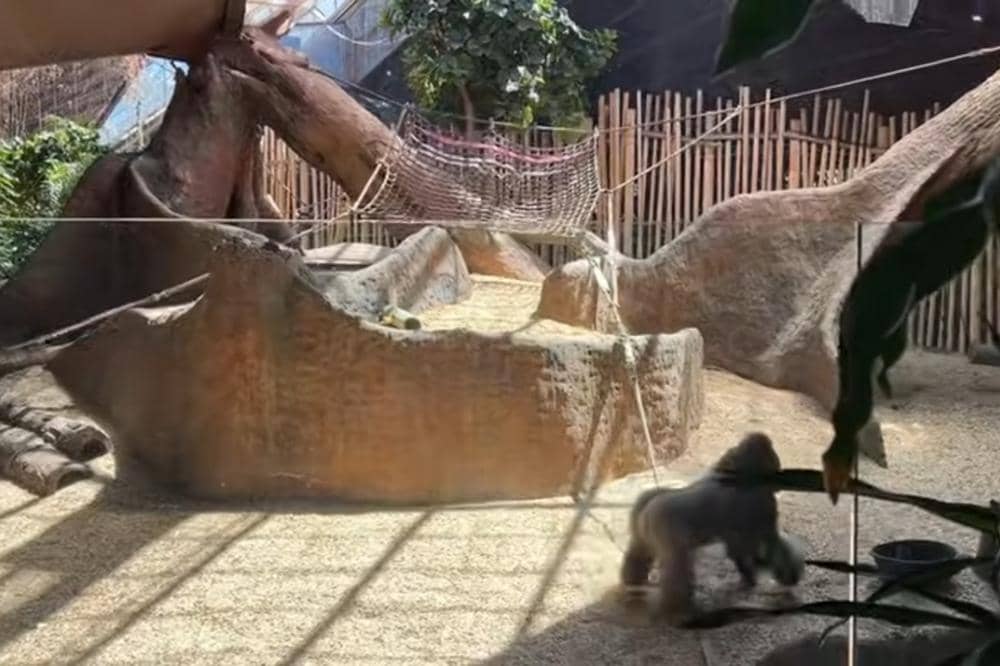 Toronto Zoo