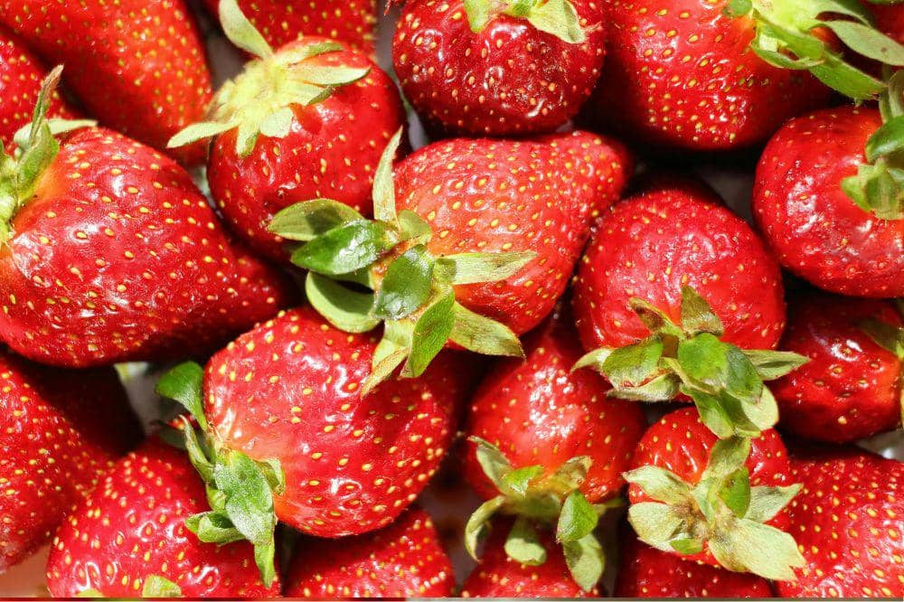 Stroberi