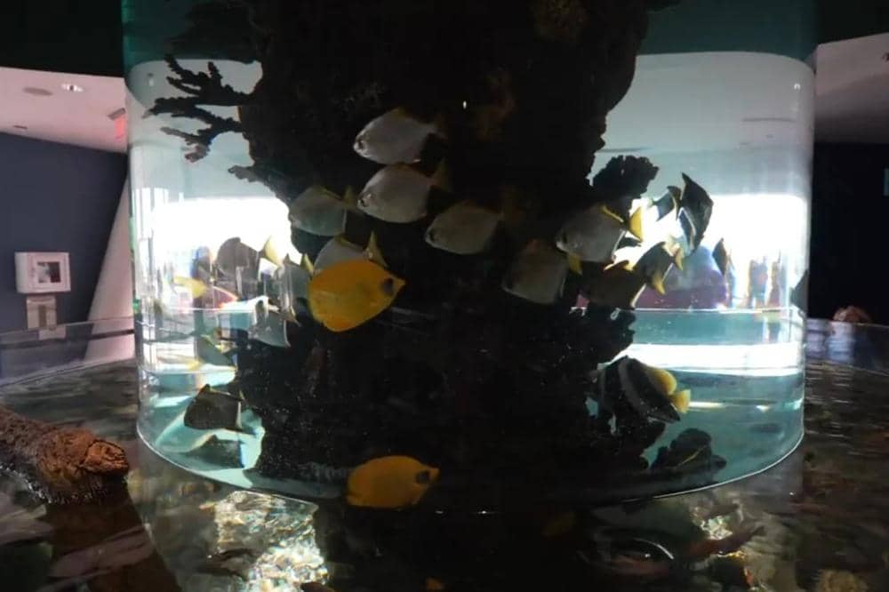 Ripley's Aquarium of Canada