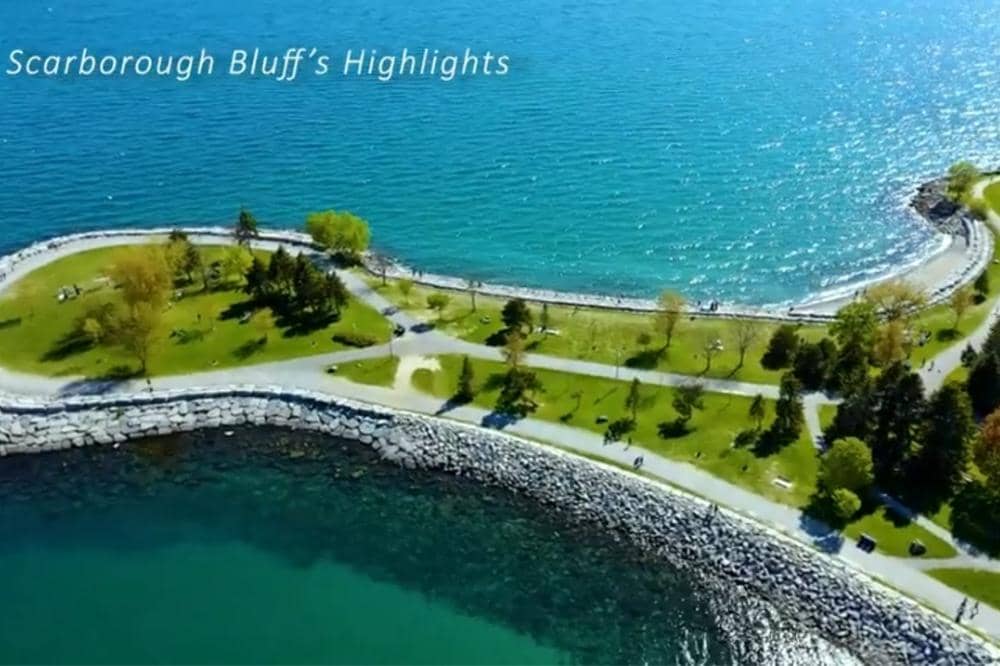 Scarborough Bluffs