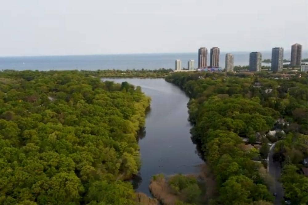 7 Tempat Wisata Alam Ramah Anak di Toronto, Jalan-Jalan Edukatif