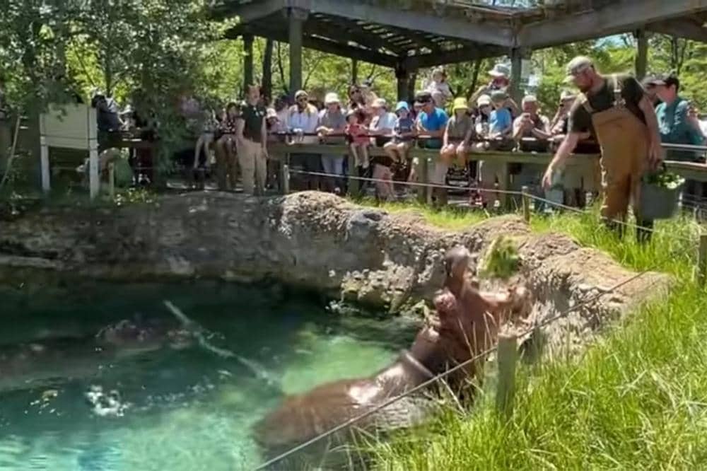 Toronto Zoo