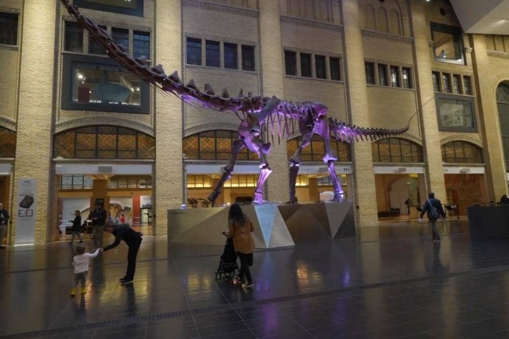 Royal Ontario Museum