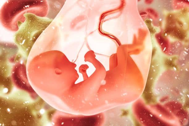 Apa Itu Hydrops Fetalis pada Bayi? Kenali Gejala dan Pengobatannya