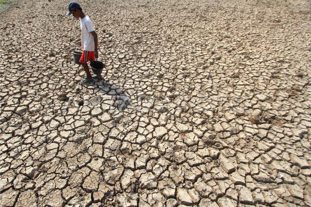 dampak el nino