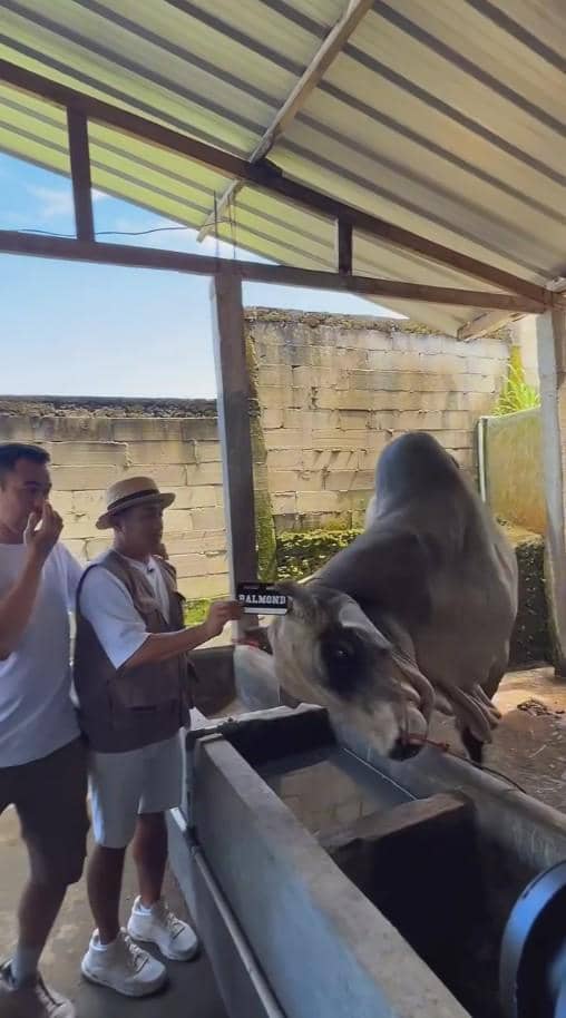 Artis yang Melakukan Qurban di Idul Adha 2026