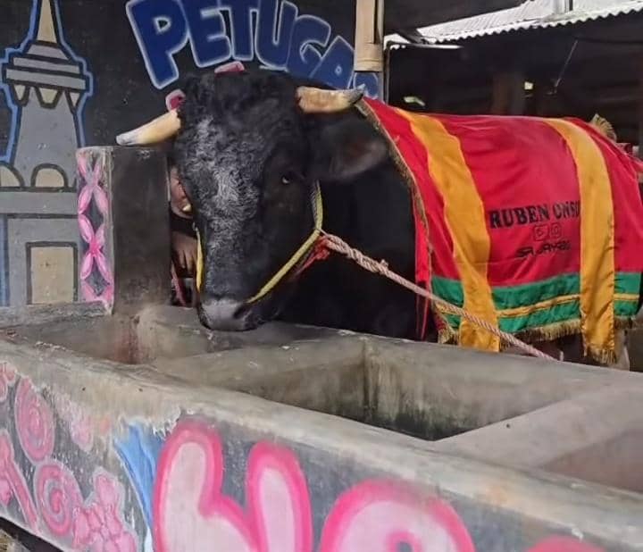 Artis yang Melakukan Qurban di Idul Adha 2026
