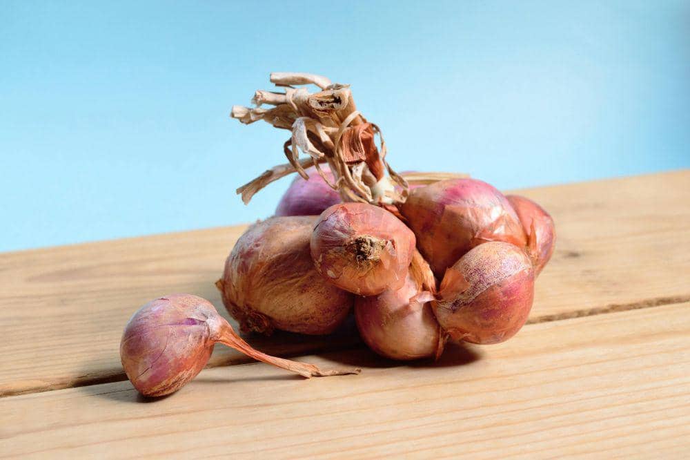 Mitos atau Fakta, Benarkah Makan Bawang Merah Menyebabkan Bau Badan?