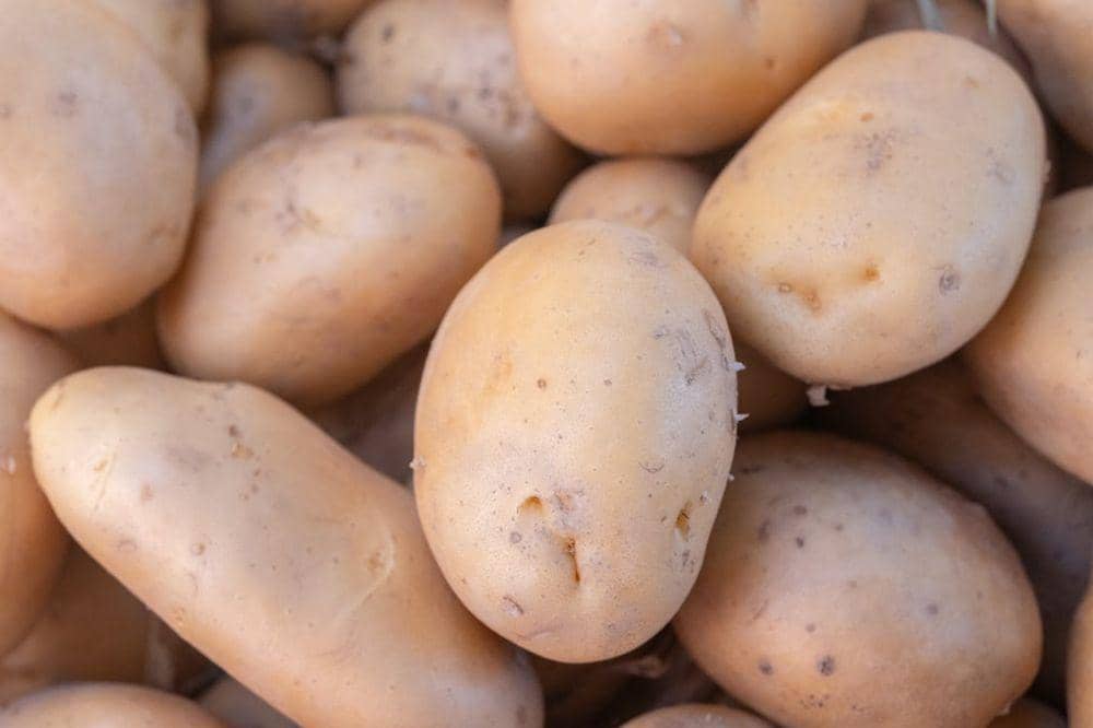 Makanan yang Mengandung Vitamin B6 5.jpg