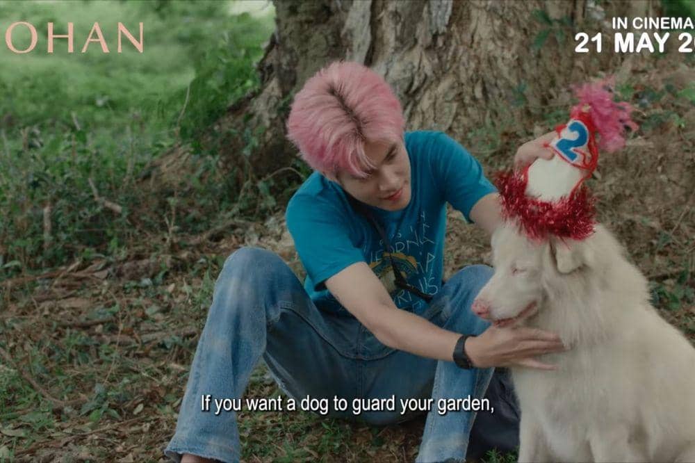 2 Fakta Gohan, Anjing yang Jadi Peneman Sepi .jpg