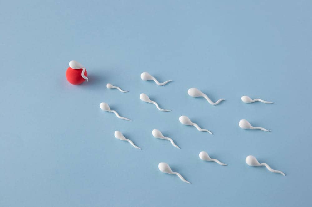 Benarkah Sperma Bisa 'Menua' dan Turun Kualitasnya? 2.jpg