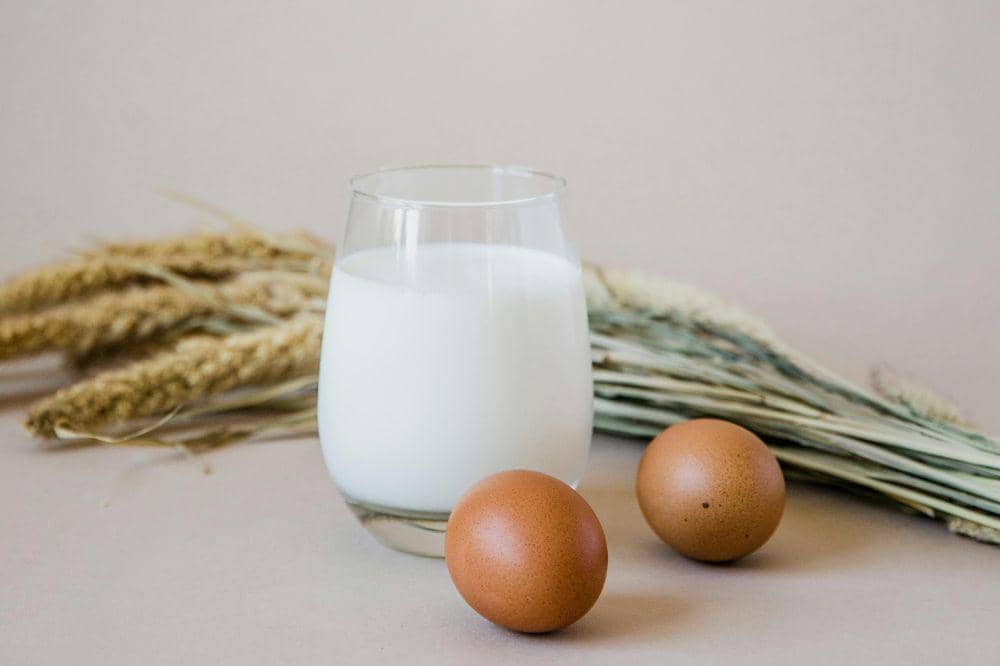 Meal plan telur dan susu untuk peninggi berat badan