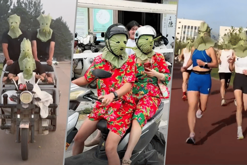 Viral di China, Daun Teratai Jadi Topeng Pengganti Sunscreen