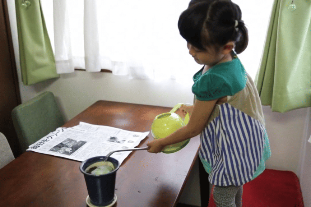 seorang anak menanam tanaman dari koran