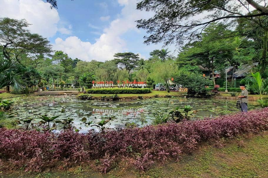 Taman Tabebuya 