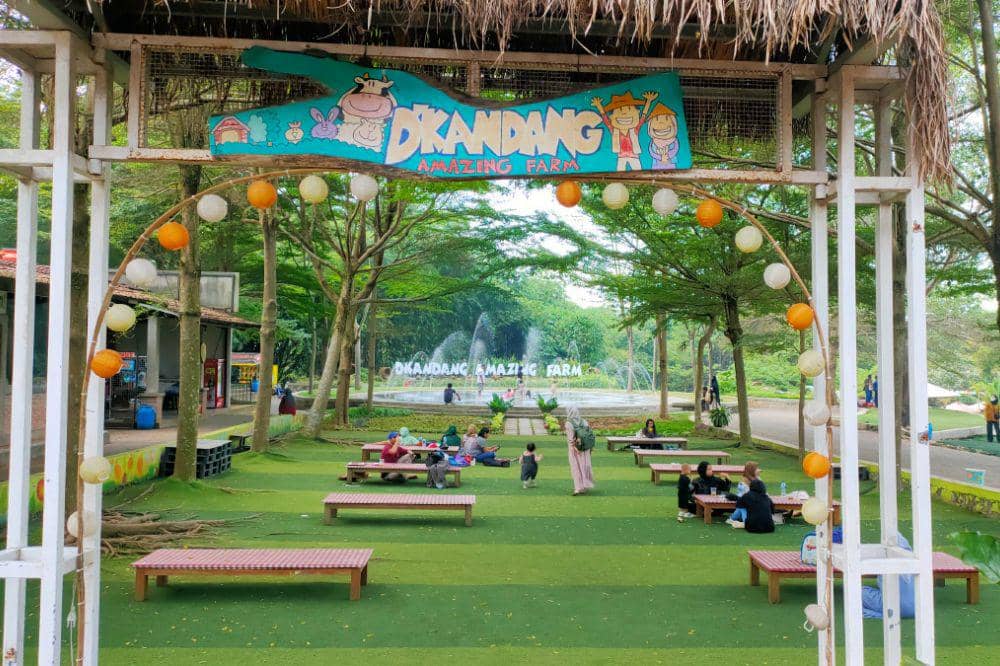 D'kandang Amazing Farm